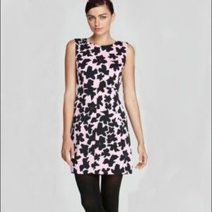 LIKE NEW DVF CARPREENA DOVE Sz 6